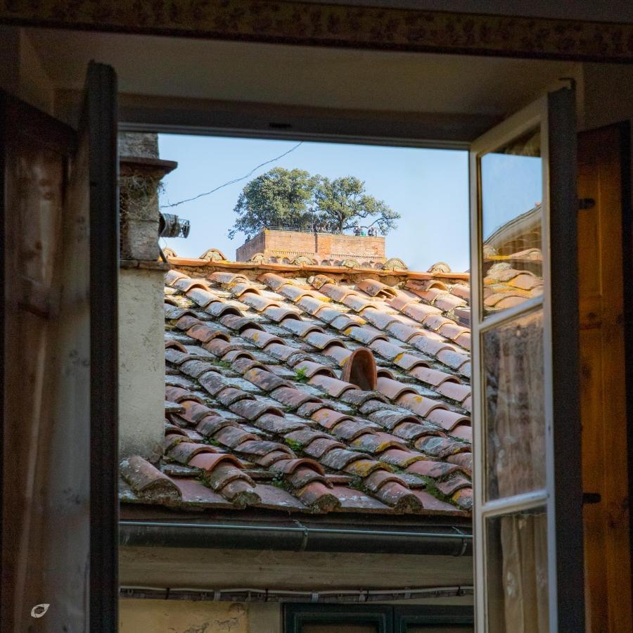 Apartmán Casa Anna Lucca Exteriér fotografie